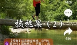 拍呱呱短视频文案,捕捉生活瞬间，展现个性风采